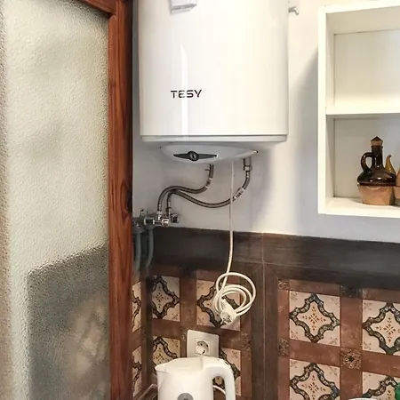 Apartment At 100 M Away From The With Enclosed Garden And Wifi