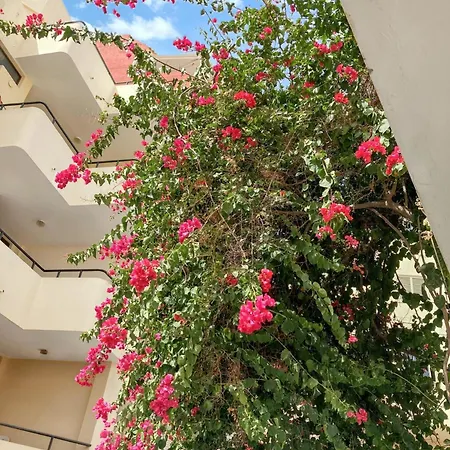 Lejlighed At 100 M Away From The With Enclosed Garden And Wifi *